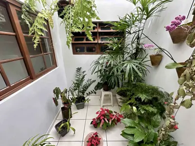 Casa - Térrea com 3 quartos (sendo 1 suite(s)) a 500,00 metros praia.