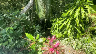 Sítio - Alto com  quartos  a 800,00 metros praia.