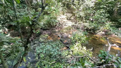 Sítio - Alto com  quartos  a 800,00 metros praia.