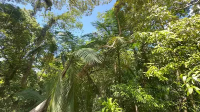 Sítio - Alto com  quartos  a 800,00 metros praia.