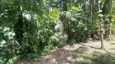 Sítio - Alto com  quartos  a 800,00 metros praia.