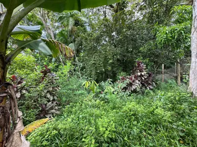 Sítio - Alto com  quartos  a 7000,00 metros praia.