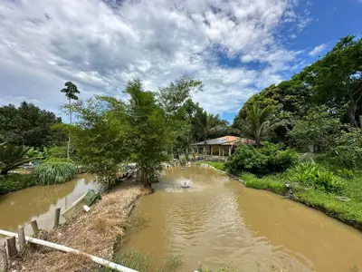 Sítio - Alto com  quartos  a 7000,00 metros praia.