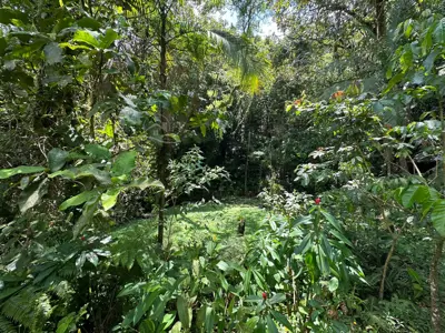 Sítio - Alto com  quartos  a 7000,00 metros praia.