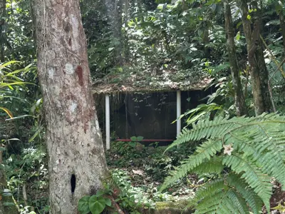 Sítio - Alto com  quartos  a 7000,00 metros praia.