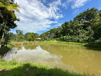 Sítio - Alto com  quartos  a 7000,00 metros praia.
